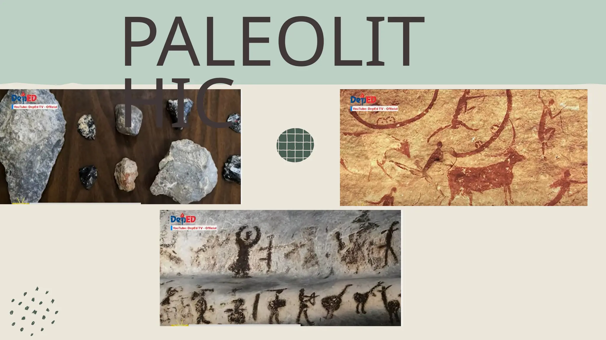 8 The Human Biological Evolution Pptx For Educational Purposes Pptx