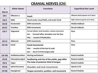 C.
Nerve
Other Name Functions Superficial Exit Level
CN I Olfactory n. Smell
Olfactory bulb [superior to B. Stem]
CN II Optic Visual acuity, visual fields, and ocular fundi Optic chiasm [superior to B. Stem]
CN III Oculomotor EOM movements Medial midbrain
CN IV Trochlear EOM movements Dorsal midbrain
CN V Trigeminal Corneal reflexes, facial sensation, and jaw movements
Sen  Corneal reflex, Sensation over the face
Mot  muscle of Mastication
Pons
CN VI Abducent EOM movements Pons
CN VII Facial Facial movements
Mot  muscles of the face & scalp
Sen  Ant 2/3 of the tongue taste
Pons
CN VIII Vestibulocochlear Hearing and balance Rostral medulla
CN IX Glossopharyngeal Swallowing and rise of the palate, gag reflex
The taste of posterior third of tongue
Rostral medulla
CN X Vagus Rostral medulla
CN XI Spinal Accessory Shoulder and neck movements Spinal C1-C6
CN XII Hypoglossal Tongue symmetry, position, and movement Rostral Medulla
CRANIAL NERVES (CN)
 