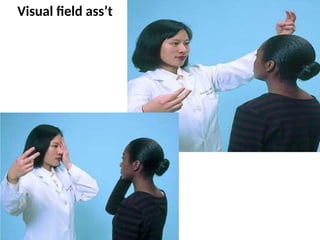 Visual field ass’t
 