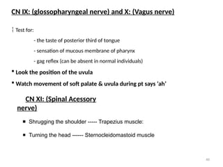 40
CN IX: (glossopharyngeal nerve) and X: (Vagus nerve)
 Test for:
- the taste of posterior third of tongue
- sensation of mucous membrane of pharynx
- gag reflex (can be absent in normal individuals)
 Look the position of the uvula
 Watch movement of soft palate & uvula during pt says ‘ah’
CN XI: (Spinal Acessory
nerve)
 Shrugging the shoulder ----- Trapezius muscle:
 Turning the head ------ Sternocleidomastoid muscle
 