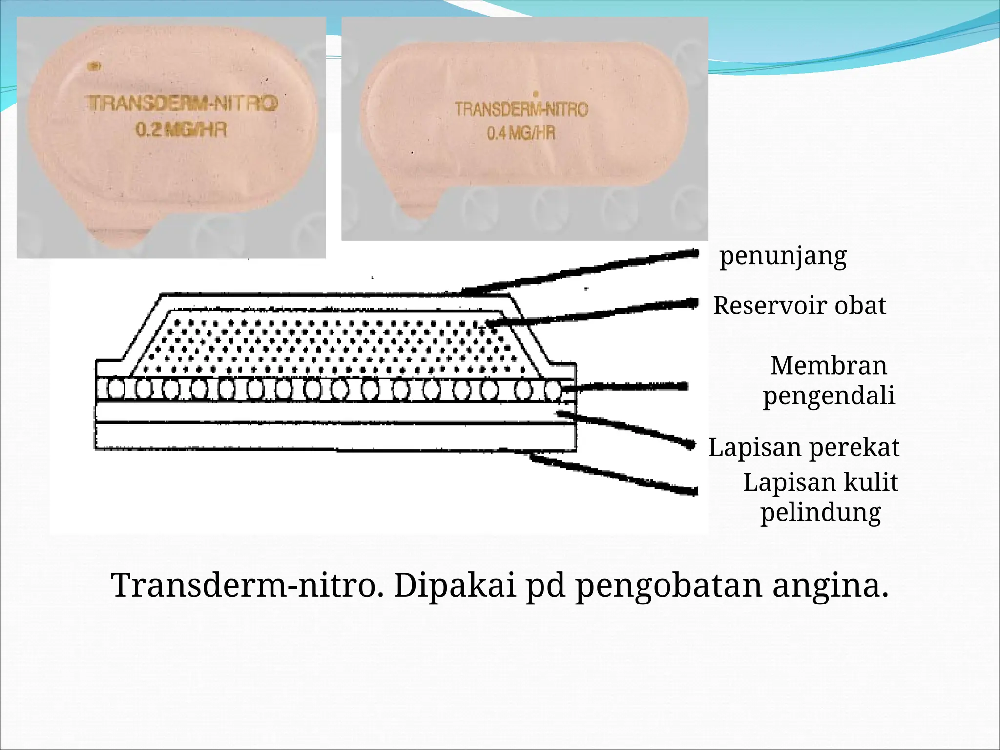Transiderm 8. TRANSDERMAL 1.pptTRANSDERMALTRANSDERMAL | PPT