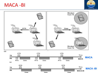 MACA -BI
MACA -BI
MACA
 
