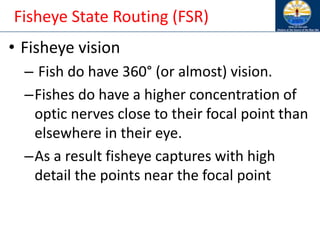 Fisheye State Routing (FSR)
• Fisheye vision
– Fish do have 360° (or almost) vision.
–Fishes do have a higher concentration of
optic nerves close to their focal point than
elsewhere in their eye.
–As a result fisheye captures with high
detail the points near the focal point
 
