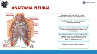 DERRAME PLEURAL COMO COMPLICACION DE NEUMONIA MAS EMPIEMA | PDF