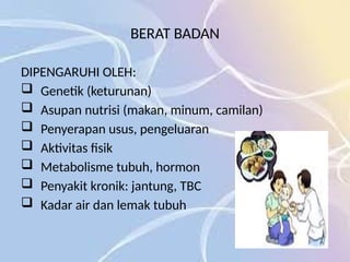 BERAT BADAN
DIPENGARUHI OLEH:
 Genetik (keturunan)
 Asupan nutrisi (makan, minum, camilan)
 Penyerapan usus, pengeluaran
 Aktivitas fisik
 Metabolisme tubuh, hormon
 Penyakit kronik: jantung, TBC
 Kadar air dan lemak tubuh
 