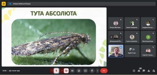 21 березня 2025 р. – Відкрита лекція на тему «Тута абсолюта: комплексний контроль (біометод, феромони, тутавір)»