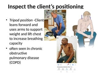 Health assessment - Thorax and lungs Nursing | PPTX