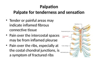 Palpating Ribs Health assessment - Thorax and lungs Nursing | PPTX