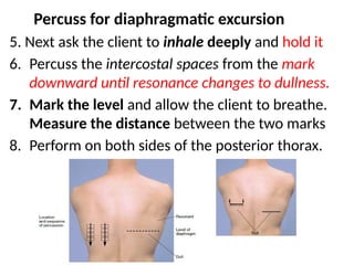 Rib Excursion Test Health assessment - Thorax and lungs Nursing | PPTX