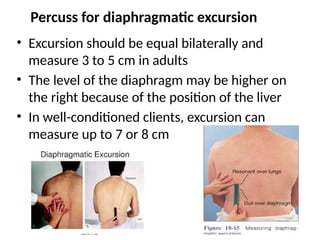 Rib Excursion Test Health assessment - Thorax and lungs Nursing | PPTX