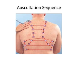 Health assessment - Thorax and lungs Nursing | PPTX