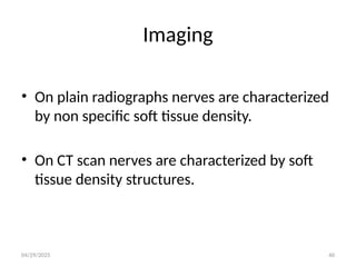 04/29/2025 40
Imaging
• On plain radiographs nerves are characterized
by non specific soft tissue density.
• On CT scan nerves are characterized by soft
tissue density structures.
 
