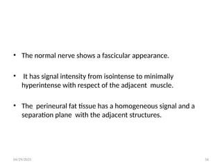 04/29/2025 56
• The normal nerve shows a fascicular appearance.
• It has signal intensity from isointense to minimally
hyperintense with respect of the adjacent muscle.
• The perineural fat tissue has a homogeneous signal and a
separation plane with the adjacent structures.
 