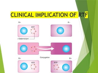 CLINICAL IMPLICATION OF RTF
 