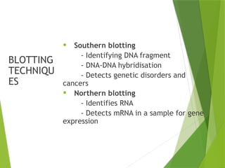 BLOTTING
TECHNIQU
ES
• Southern blotting
- Identifying DNA fragment
- DNA-DNA hybridisation
- Detects genetic disorders and
cancers
• Northern blotting
- Identifies RNA
- Detects mRNA in a sample for gene
expression
 