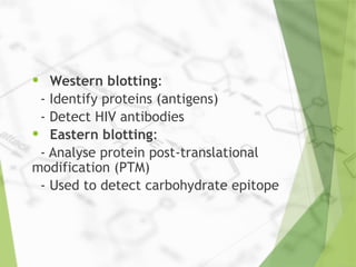 • Western blotting:
- Identify proteins (antigens)
- Detect HIV antibodies
• Eastern blotting:
- Analyse protein post-translational
modification (PTM)
- Used to detect carbohydrate epitope
 
