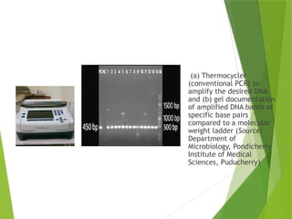 (a) Thermocycler
(conventional PCR) to
amplify the desired DNA
and (b) gel documentation
of amplified DNA bands of
specific base pairs
compared to a molecular
weight ladder (Source:
Department of
Microbiology, Pondicherry
Institute of Medical
Sciences, Puducherry)
 