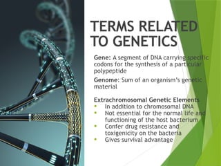 TERMS RELATED
TO GENETICS
Gene: A segment of DNA carrying specific
codons for the synthesis of a particular
polypeptide
Genome: Sum of an organism’s genetic
material
Extrachromosomal Genetic Elements
• In addition to chromosomal DNA
• Not essential for the normal life and
functioning of the host bacterium
• Confer drug resistance and
toxigenicity on the bacteria
• Gives survival advantage
 