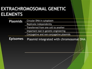 EXTRACHROMOSOMAL GENETIC
ELEMENTS
Plasmids Circular DNA in cytoplasm
Replicate independently
Transferred from one cell to another
Important tool in genetic engineering
Conjugative and non-conjugative plasmids
Episomes Plasmid integrated with chromosomal DNA
 