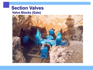 Section Valves
Valve Blocks (Gate)
 