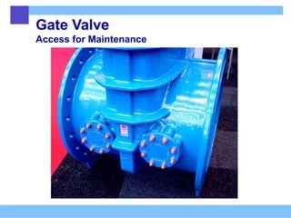 Gate Valve
Access for Maintenance
 