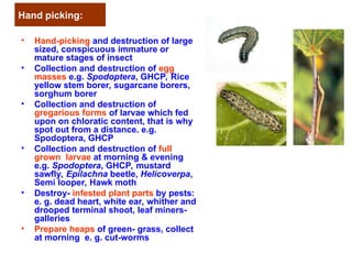 Insect Hand Picking IPM tools for integrated pest management .ppt
