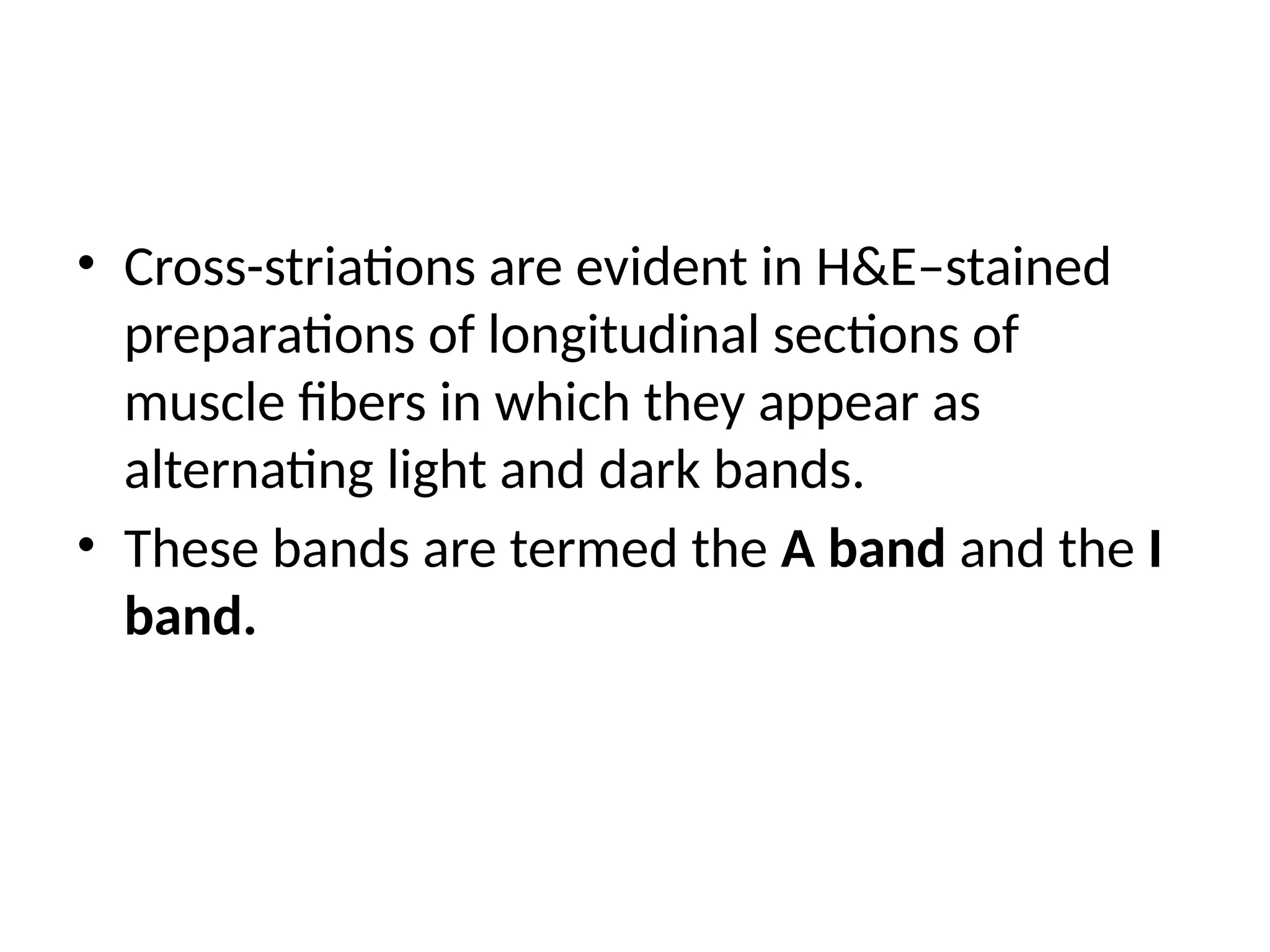 • Cross-striations are evident in H&E–stained
preparations of longitudinal sections of
muscle fibers in which they appear as
alternating light and dark bands.
• These bands are termed the A band and the I
band.
 