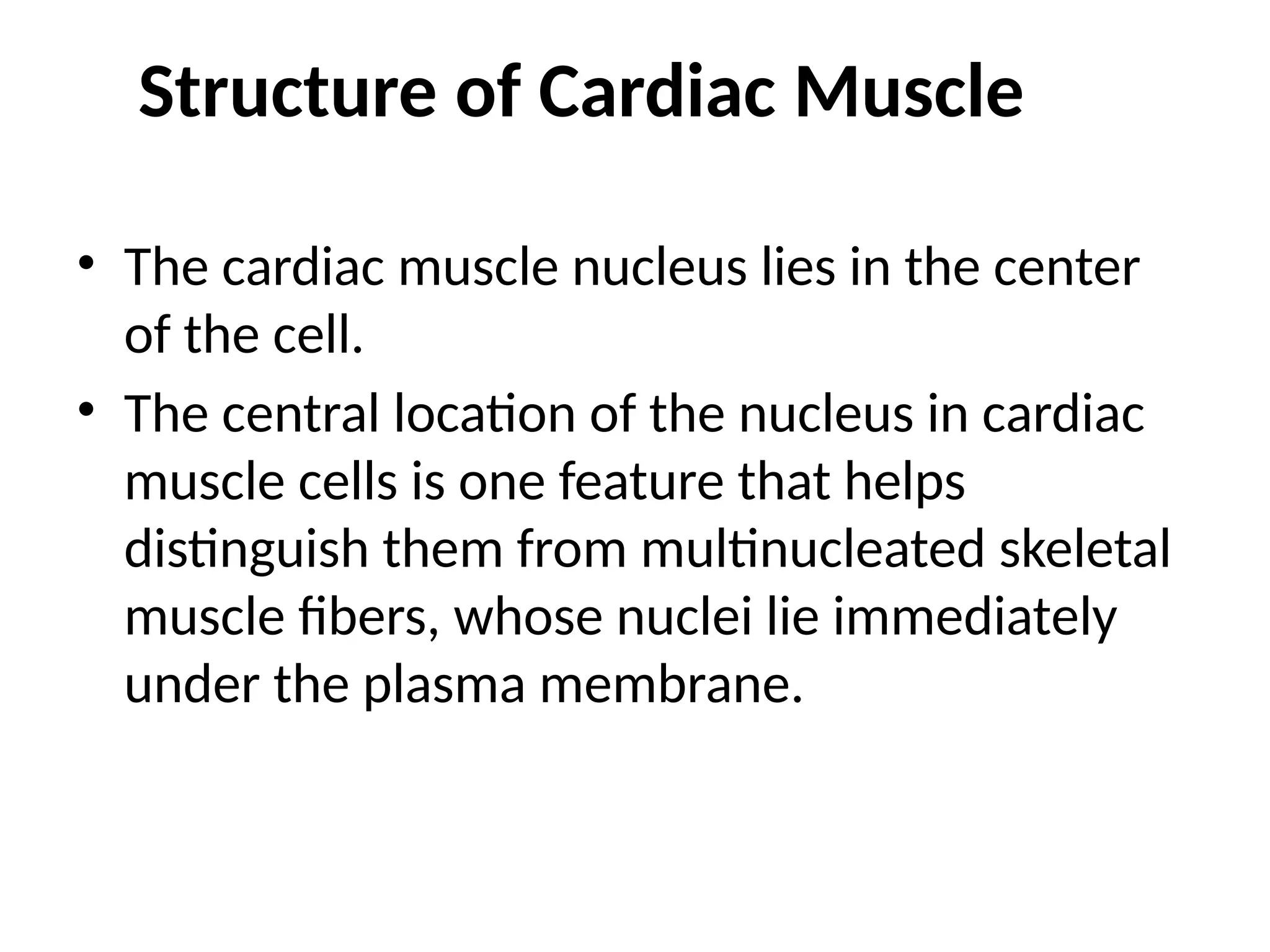 Structure of Cardiac Muscle
• The cardiac muscle nucleus lies in the center
of the cell.
• The central location of the nucleus in cardiac
muscle cells is one feature that helps
distinguish them from multinucleated skeletal
muscle fibers, whose nuclei lie immediately
under the plasma membrane.
 