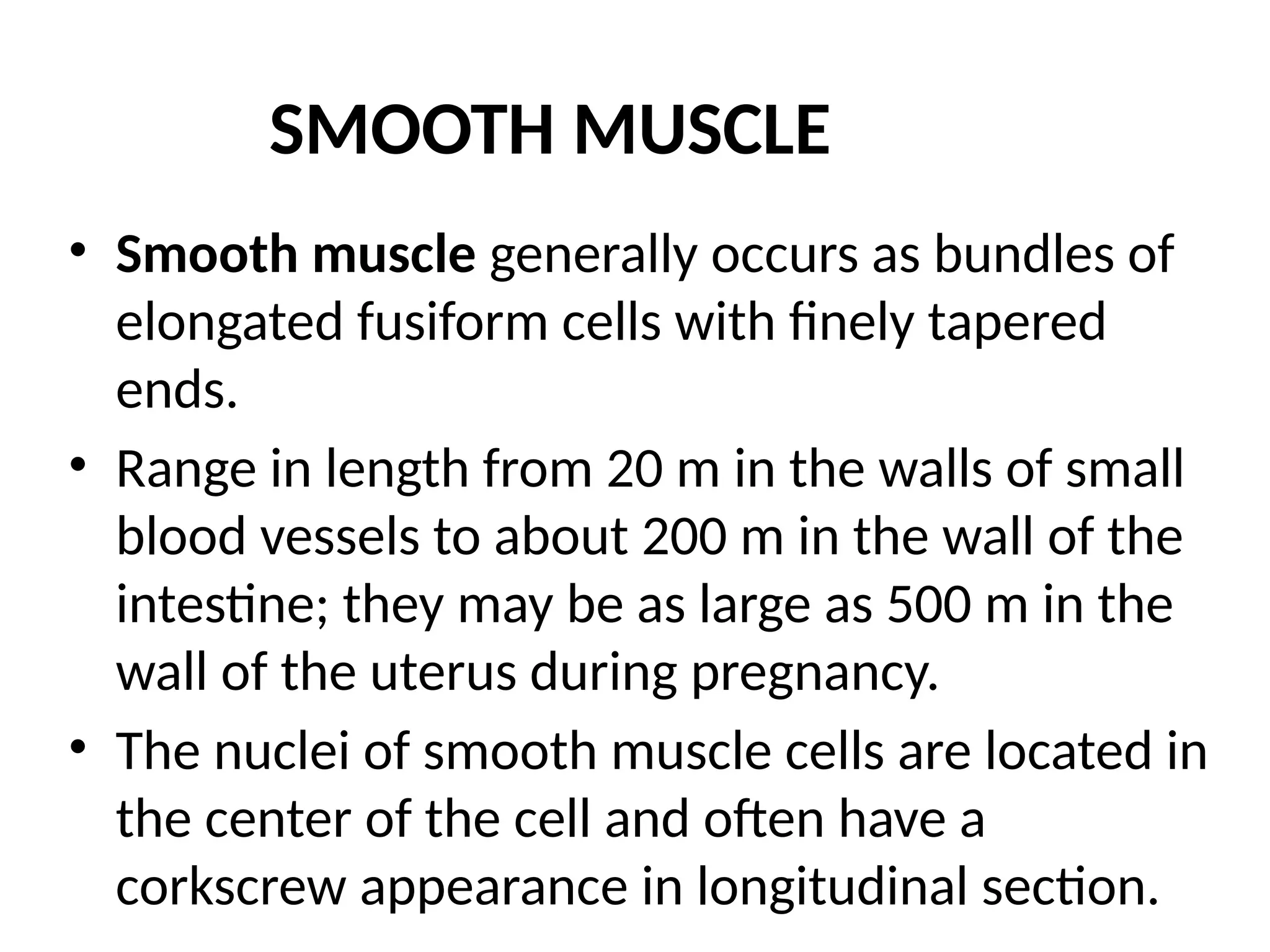 SMOOTH MUSCLE
• Smooth muscle generally occurs as bundles of
elongated fusiform cells with finely tapered
ends.
• Range in length from 20 m in the walls of small
blood vessels to about 200 m in the wall of the
intestine; they may be as large as 500 m in the
wall of the uterus during pregnancy.
• The nuclei of smooth muscle cells are located in
the center of the cell and often have a
corkscrew appearance in longitudinal section.
 