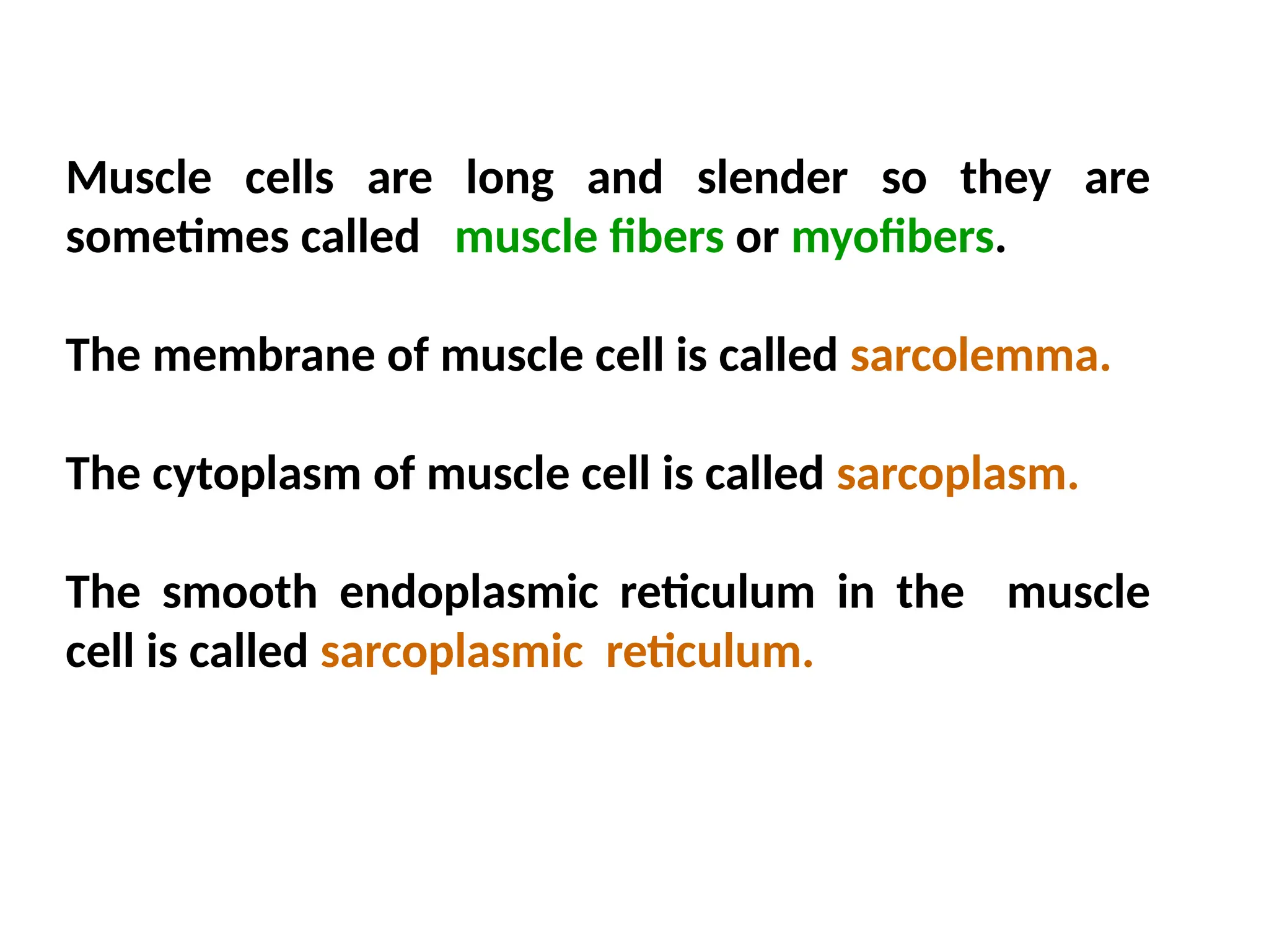 Muscle cells are long and slender so they are
sometimes called muscle fibers or myofibers.
The membrane of muscle cell is called sarcolemma.
The cytoplasm of muscle cell is called sarcoplasm.
The smooth endoplasmic reticulum in the muscle
cell is called sarcoplasmic reticulum.
 