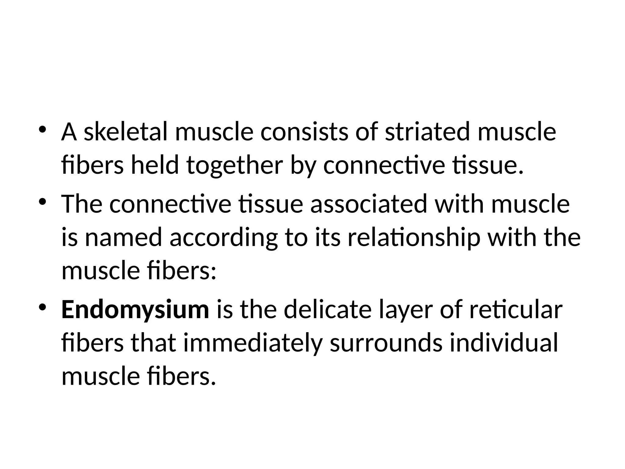 • A skeletal muscle consists of striated muscle
fibers held together by connective tissue.
• The connective tissue associated with muscle
is named according to its relationship with the
muscle fibers:
• Endomysium is the delicate layer of reticular
fibers that immediately surrounds individual
muscle fibers.
 