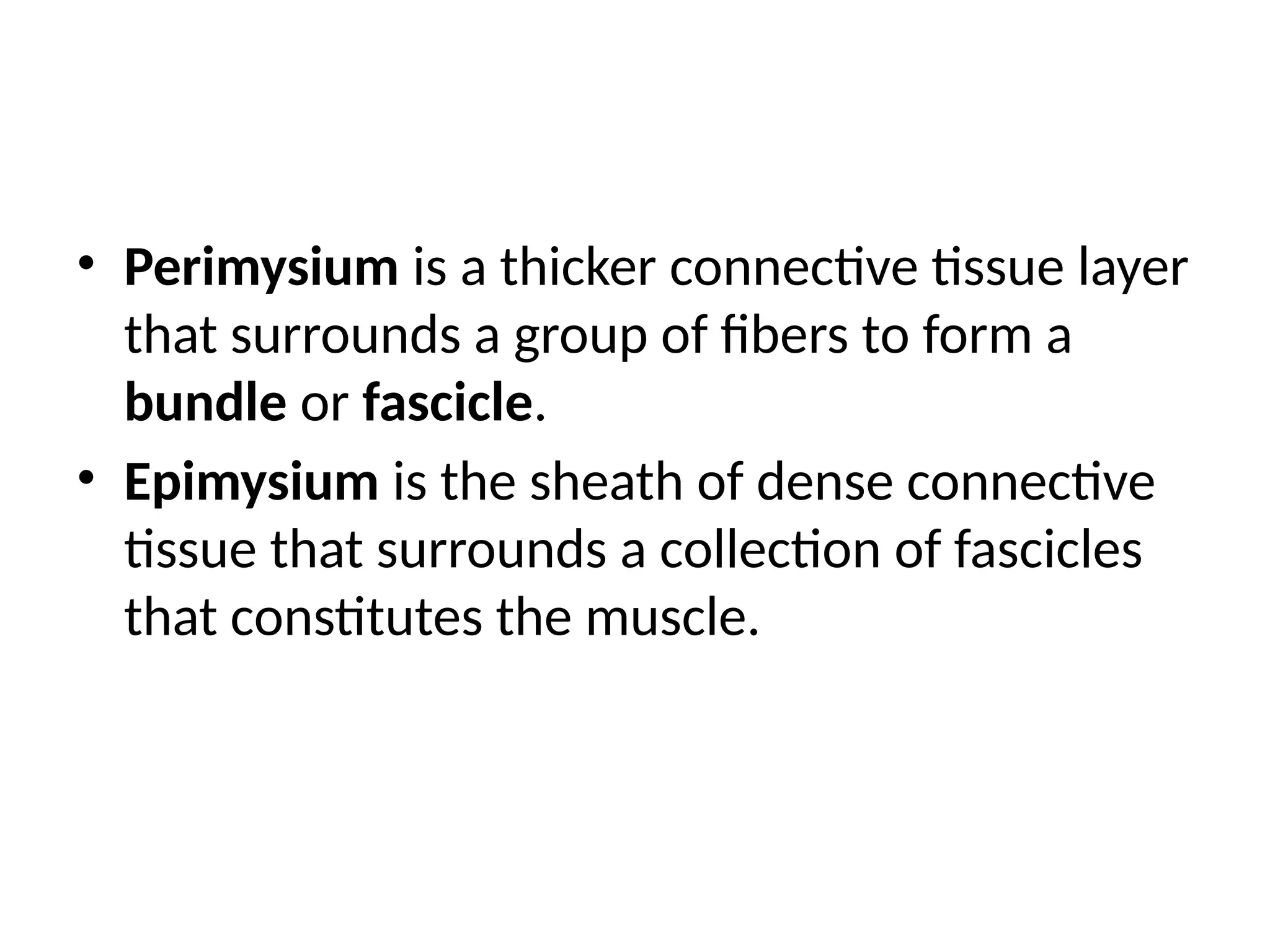 • Perimysium is a thicker connective tissue layer
that surrounds a group of fibers to form a
bundle or fascicle.
• Epimysium is the sheath of dense connective
tissue that surrounds a collection of fascicles
that constitutes the muscle.
 