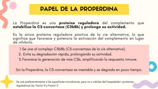 La Properdina es una proteína reguladora del complemento que
estabiliza la C3-convertasa (C3bBb) y prolonga su actividad.
Es la única proteína reguladora positiva de la vía alternativa, lo que
significa que favorece y potencia la activación del complemento en lugar
de inhibirlo.
PAPEL DE LA PROPERDINA
1.Se une al complejo C3bBb (C3-convertasa de la vía alternativa).
2. Evita su degradación rápida, prolongando su actividad.
3.Favorece la generación de más C3b, amplificando la respuesta inmune.
Sin la Properdina, la C3-convertasa es inestable y se degrada en poco tiempo.
Se une preferentemente a las superficies microbianas, pero no a células del hospedador-.proteínas
reguladoras (ej. Factor H y Factor I)
 