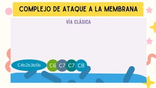 COMPLEJO DE ATAQUE A LA MEMBRANA
 