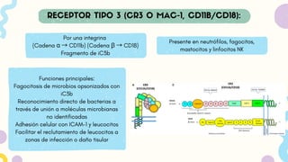 Por una integrina
(Cadena α → CD11b) (Cadena β → CD18)
Fragmento de iC3b
Funciones principales:
Fagocitosis de microbios opsonizados con
iC3b
Reconocimiento directo de bacterias a
través de unión a moléculas microbianas
no identificadas
Adhesión celular con ICAM-1 y leucocitos
Facilitar el reclutamiento de leucocitos a
zonas de infección o daño tisular
Presente en neutrófilos, fagocitos,
mastocitos y linfocitos NK
 