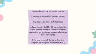 Evita la destrucción de células propias
Controla la inflamación y la lisis celular
Regulación se da en distintas fases
En la activación de C3 y C5 convertasa: los
puntos críticos donde se forma el complejo
que activa las siguientes etapas del sistema
de complemento.
En la fase terminal: donde se forma el
complejo de ataque a membrana (MAC).
 