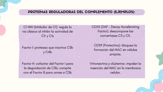 PROTEÍNAS REGULADORAS DEL COMPLEMENTO (EJEMPLOS):
C1-INH (Inhibidor de C1): regula la
vía clásica al inhibir la actividad de
C1r y C1s
CD59 (Protectina): bloquea la
formación del MAC en células
propias.
Factor I: proteasa que inactiva C3b
y C4b
Factor H: cofactor del Factor I para
la degradación de C3b; compite
con el Factor B para unirse a C3b
CD55 (DAF – Decay Accelerating
Factor): descompone las
convertasas C3 y C5.
Vitronectina y clústerina: impiden la
inserción del MAC en la membrana
celular.
 
