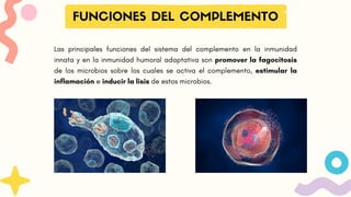 FUNCIONES DEL COMPLEMENTO
Las principales funciones del sistema del complemento en la inmunidad
innata y en la inmunidad humoral adaptativa son promover la fagocitosis
de los microbios sobre los cuales se activa el complemento, estimular la
inflamación e inducir la lisis de estos microbios.
 