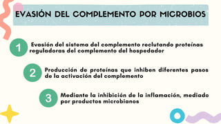 Evasión del sistema del complemento reclutando proteínas
reguladoras del complemento del hospedador
EVASIÓN DEL COMPLEMENTO POR MICROBIOS
Producción de proteínas que inhiben diferentes pasos
de la activación del complemento
Mediante la inhibición de la inflamación, mediado
por productos microbianos
 