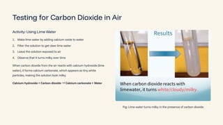 Testing for Carbon Dioxide in Air
Activity: Using Lime Water
Make lime water by adding calcium oxide to water
1.
Filter the solution to get clear lime water
2.
Leave the solution exposed to air
3.
Observe that it turns milky over time
4.
When carbon dioxide from the air reacts with calcium hydroxide (lime
water), it forms calcium carbonate, which appears as tiny white
particles, making the solution look milky.
Calcium hydroxide + Carbon dioxide ³Calcium carbonate + Water
Fig: Lime water turns milky in the presence of carbon dioxide
 