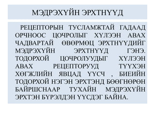 МЭДРЭХҮЙН ЭРХТНҮҮД
РЕЦЕПТОРЫН ТУСЛАМЖТАЙ ГАДААД
ОРЧНООС ЦОЧРОЛЫГ ХҮЛЭЭН АВАХ
ЧАДВАРТАЙ ӨВӨРМӨЦ ЭРХТНҮҮДИЙГ
МЭДРЭХҮЙН ЭРХТНҮҮД ГЭНЭ.
ТОДОРХОЙ ЦОЧРОЛУУДЫГ ХҮЛЭЭН
АВАХ РЕЦЕПТОРУУД ТҮҮХЭН
ХӨГЖЛИЙН ЯВЦАД ҮҮСЧ , БИЕИЙН
ТОДОРХОЙ НЭГЭН ЭРХТЭНД БӨӨГНӨРӨН
БАЙРШСНААР ТУХАЙН МЭДРЭХҮЙН
ЭРХТЭН БҮРЭЛДЭН ҮҮСДЭГ БАЙНА.
 