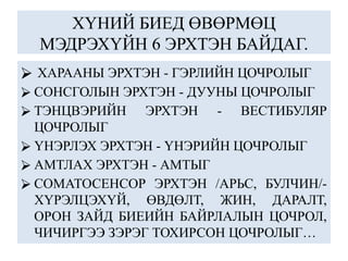 ХҮНИЙ БИЕД ӨВӨРМӨЦ
МЭДРЭХҮЙН 6 ЭРХТЭН БАЙДАГ.
⮚ ХАРААНЫ ЭРХТЭН - ГЭРЛИЙН ЦОЧРОЛЫГ
⮚ СОНСГОЛЫН ЭРХТЭН - ДУУНЫ ЦОЧРОЛЫГ
⮚ ТЭНЦВЭРИЙН ЭРХТЭН - ВЕСТИБУЛЯР
ЦОЧРОЛЫГ
⮚ ҮНЭРЛЭХ ЭРХТЭН - ҮНЭРИЙН ЦОЧРОЛЫГ
⮚ АМТЛАХ ЭРХТЭН - АМТЫГ
⮚ СОМАТОСЕНСОР ЭРХТЭН /АРЬС, БУЛЧИН/-
ХҮРЭЛЦЭХҮЙ, ӨВДӨЛТ, ЖИН, ДАРАЛТ,
ОРОН ЗАЙД БИЕИЙН БАЙРЛАЛЫН ЦОЧРОЛ,
ЧИЧИРГЭЭ ЗЭРЭГ ТОХИРСОН ЦОЧРОЛЫГ…
 