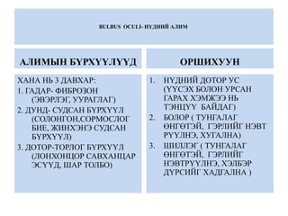 BULBUS OCULI- НҮДНИЙ АЛИМ
АЛИМЫН БҮРХҮҮЛҮҮД
ХАНА НЬ 3 ДАВХАР:
1. ГАДАР- ФИБРОЗОН
(ЭВЭРЛЭГ, УУРАГЛАГ)
2. ДУНД- СУДСАН БҮРХҮҮЛ
(СОЛОНГОН,СОРМОСЛОГ
БИЕ, ЖИНХЭНЭ СУДСАН
БҮРХҮҮЛ)
3. ДОТОР-ТОРЛОГ БҮРХҮҮЛ
(ЛОНХОНЦОР САВХАНЦАР
ЭСҮҮД, ШАР ТОЛБО)
ОРШИХУУН
1. НҮДНИЙ ДОТОР УС
(ҮҮСЭХ БОЛОН УРСАН
ГАРАХ ХЭМЖЭЭ НЬ
ТЭНЦҮҮ БАЙДАГ)
2. БОЛОР ( ТУНГАЛАГ
ӨНГӨТЭЙ, ГЭРЛИЙГ НЭВТ
РҮҮЛНЭ, ХУГАЛНА)
3. ШИЛЛЭГ ( ТУНГАЛАГ
ӨНГӨТЭЙ, ГЭРЛИЙГ
НЭВТРҮҮЛНЭ, ХЭЛБЭР
ДҮРСИЙГ ХАДГАЛНА )
 