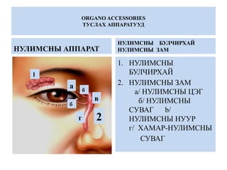 ORGANO ACCESSORIES
ТУСЛАХ АППАРАТУУД
НУЛИМСНЫ АППАРАТ
НУЛИМСНЫ БУЛЧИРХАЙ
НУЛИМСНЫ ЗАМ
1. НУЛИМСНЫ
БУЛЧИРХАЙ
2. НУЛИМСНЫ ЗАМ
а/ НУЛИМСНЫ ЦЭГ
б/ НУЛИМСНЫ
СУВАГ b/
НУЛИМСНЫ НУУР
г/ ХАМАР-НУЛИМСНЫ
СУВАГ
1
2
а б
б
в
г
 