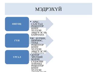 МЭДРЭХҮЙ
ӨНГӨЦ
• АРЬС,
САЛСТАД
РЕЦЕПТОР
БУЮУ
ХҮЛЭЭН
АВАГЧ ЭС НЬ
БАЙРЛАНА
ГҮН
•ЯС, БУЛЧИН,
ШӨРМӨС,
ҮЕНД
РЕЦЕПТОР
БУЮУ
ХҮЛЭЭН
АВАГЧ ЭС НЬ
БАЙРЛАНА
УРГАЛ
• ДОТОР
ЭРХТНИЙ
БОЛОН
СУДАСНЫ
ХАНАНД
РЕЦЕПТОР
БУЮУ
ХҮЛЭЭН
 