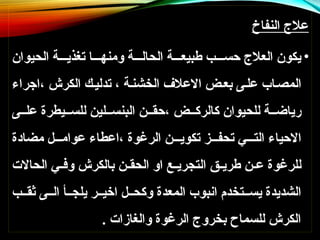 ‫النفاخ‬ ‫عالج‬
•
‫الحيوان‬ ‫ة‬:::‫تغذي‬ ‫ا‬:::‫ومنه‬ ‫ة‬:::‫الحال‬ ‫ة‬:::‫طبيع‬ ‫ب‬:::‫حس‬ ‫العالج‬ ‫يكون‬
‫اجراء‬، ‫الكرش‬ ‫ك‬:‫تدلي‬ ، ‫ة‬:‫الخشن‬ ‫االعالف‬ ‫ض‬:‫بع‬ ‫ى‬:‫عل‬ ‫اب‬:‫المص‬
‫ى‬::‫عل‬ ‫يطرة‬::‫للس‬ ‫لين‬::‫البنس‬ ‫ن‬::‫حق‬، ‫ض‬::‫كالرك‬ ‫للحيوان‬ ‫ة‬::‫رياض‬
‫مضادة‬ ‫ل‬:::‫عوام‬ ‫اعطاء‬، ‫الرغوة‬ ‫ن‬:::‫تكوي‬ ‫ز‬:::‫تحف‬ ‫ي‬:::‫الت‬ ‫االحياء‬
‫الحاالت‬ ‫ي‬::‫وف‬ ‫بالكرش‬ ‫ن‬::‫الحق‬ ‫او‬ ‫ع‬::‫التجري‬ ‫ق‬::‫طري‬ ‫ن‬::‫ع‬ ‫للرغوة‬
‫ب‬::‫ثق‬ ‫ى‬::‫ال‬ ‫أ‬::‫يلج‬ ‫ر‬::‫اخي‬ ‫ل‬::‫وكح‬ ‫المعدة‬ ‫انبوب‬ ‫تخدم‬::‫يس‬ ‫الشديدة‬
. ‫والغازات‬ ‫الرغوة‬ ‫بخروج‬ ‫للسماح‬ ‫الكرش‬
 