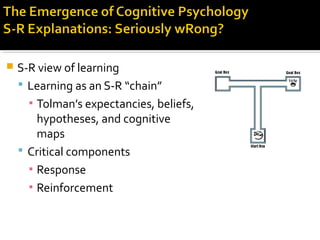  S-R view of learning
 Learning as an S-R “chain”
▪ Tolman’s expectancies, beliefs,
hypotheses, and cognitive
maps
 Critical components
▪ Response
▪ Reinforcement
 