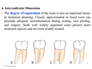 Interradicular Root 8.Furcation_compressed.pdf Periodontitis Periodontitis | PDF
