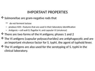 IMPORTANT PROPERTIES
 Salmonellae are gram-negative rods that
– do not ferment lactose
– produce H2S—features that are used in their laboratory identification
– Antigenic—cell wall O, flagellar H, and capsular Vi (virulence)
 There are two forms of the H antigens; phases 1 and 2
 The Vi antigens (capsular polysaccharides) are antiphagocytic and are
an important virulence factor for S. typhi, the agent of typhoid fever.
 The Vi antigens are also used for the serotyping of S. typhi in the
clinical laboratory.
 