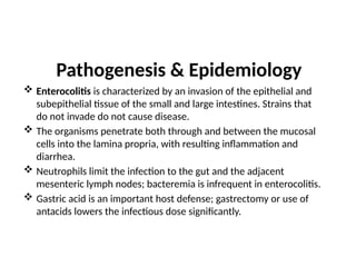 Pathogenesis & Epidemiology
 Enterocolitis is characterized by an invasion of the epithelial and
subepithelial tissue of the small and large intestines. Strains that
do not invade do not cause disease.
 The organisms penetrate both through and between the mucosal
cells into the lamina propria, with resulting inflammation and
diarrhea.
 Neutrophils limit the infection to the gut and the adjacent
mesenteric lymph nodes; bacteremia is infrequent in enterocolitis.
 Gastric acid is an important host defense; gastrectomy or use of
antacids lowers the infectious dose significantly.
 